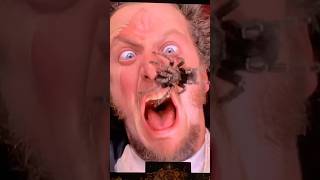 Home Alone Spider Scene Marv Screams [upl. by Akselav]