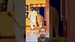 The Unbelievable Story of Miya Bhai Raps [upl. by Lawrence]