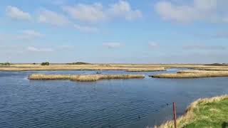 Yacht Club Ponds Tetney Marshes RSPB Nature Reserve Timelapse [upl. by Atreb]