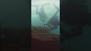 Dive into the Cinematic Underwater World  Please Subscribe [upl. by Bartko]