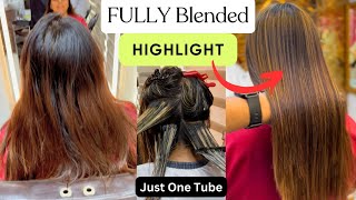 Micro Highlights Without Remove Past Hair Color  Global Highlights  Full Tutorial  Salonfact [upl. by Hgielsel901]