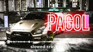 PAGOL  inch inch pinch pinch song  pagol slowed  reverb [upl. by Eimmaj]