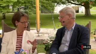 Almedalen 2013  Carl Bildt M och Gudrun Schyman FI debatterar bilden av Sverige [upl. by Ahsile]