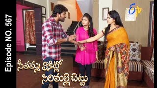 Seethamma Vakitlo Sirimalle Chettu  28th June 2017  Full Episode No 567  ETV Telugu [upl. by Yenrab72]