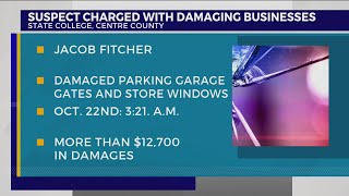 Man Charged in State College Vandalism Spree [upl. by Neelahs310]