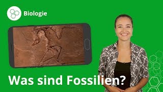 Fossilien Das musst du wissen – Biologie  Duden Learnattack [upl. by Ataga]