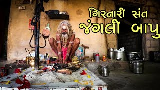 ગિરનારી સંત શ્રી જંગલી બાપુ  GIRNARI BHOMIYO [upl. by Chavaree]