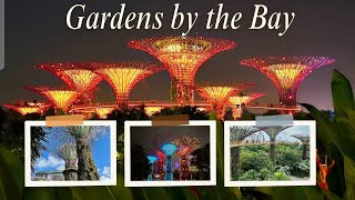 Gardens by the Bay Singapore singaporevlog [upl. by Eneroc]