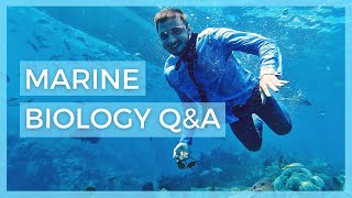 12 Things every future Marine Biologist should know about  marine biology qampa for 3000 subs [upl. by Irab]