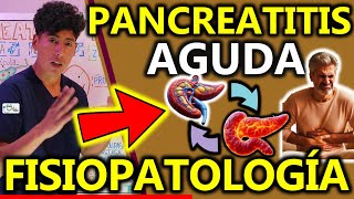 PANCREATITIS AGUDA Y CRONICA FISIOPATOLOGÍA  GuiaMed [upl. by Enihsnus]