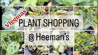 Plant shopping  Heeman’s hoya philodendron and uncommon plants vlogmas￼ [upl. by Nahtnamas577]