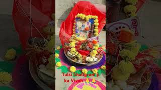 Tulsi Shaligram ji vivah 🌿🌿🙏🙏❤️❤️🪔🪔 [upl. by Beilul]