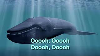 Blue Whale Theme Song With Lyrics [upl. by Henghold503]