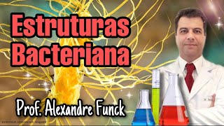 ESTRUTURAS DA CÉLULA BACTERIANA  PROF ALEXANDRE FUNCK VÍDEO ATUALIZADO [upl. by Anirda]