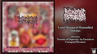 Redundant Protoplasm  Lurid Miasma of Mummified Detritus SINGLE 2024  Goregrind [upl. by Thunell308]