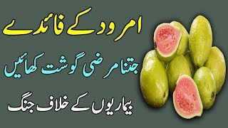 Guava Benefits in Urdu  Best Health Tips  Amrood Ke Faide [upl. by Navert170]