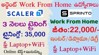 Latest Work From Home Jobs Telugu  Private Jobs  12th pass Jobs  Telugu WFH Jobs 2024 [upl. by Devine710]