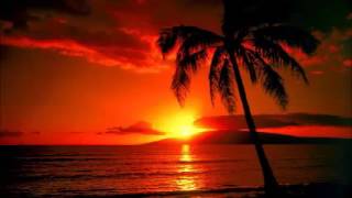 Musicas Havaianas Hawaii Aloha Hawaiian Music [upl. by Alrahc]