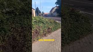 Einsatzfahrt  TSFW FF Könnern OF Bebitz  RTW DRK RW Bernburg  Kurzvideo [upl. by Novert]