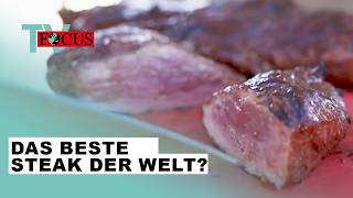 Wer grillt das beste Steak der Welt Die GrillWM in Stuttgart  Focus TV Reportage [upl. by Mariel239]