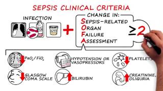 Sepsis and Septic Shock  2016 Consensus Definitions [upl. by Neeneg]