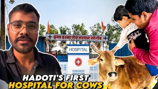 First Cow Hospital In Hadoti youtube dailyvlogs [upl. by Cappello489]