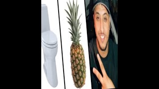 Toilet Ananas Nasdas Tiktok Meme Compilation [upl. by Gunzburg618]