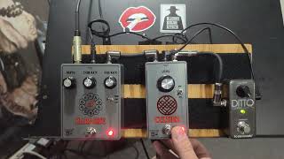 pedalpcb CelsiusBoss CE1 Preamp [upl. by Ihel]