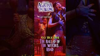 Male Cover Agatha All Along  The Ballad of the Witches’ Road Shorts アガサオールアロング [upl. by Arved]