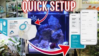 Easy Setup of Aquavitro Sentia Doser on UNS 40A All in on reef system [upl. by Llehsyt]