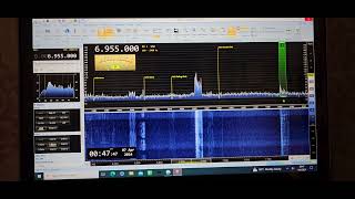 Wolverine Radio pirate at 0046 UTC [upl. by Sokem]