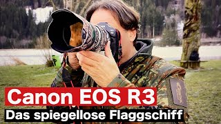 Canon EOS R3 I Mehr als eine Sport Action amp Wildlifecamera [upl. by Nonnarb]