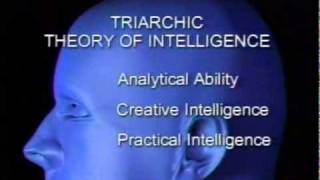 intelligence triarchic theory of intelligence [upl. by Varney]