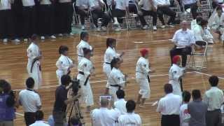 2013少林寺拳法世界大会 in OsakaJapan 団体演武 インドネシア2 [upl. by Alderson]