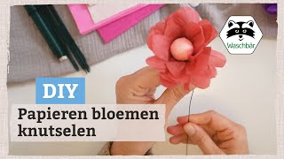 Papieren bloemen knutselen 🌸 drie varianten  Bloemen maken van papier 💐 [upl. by Glori443]