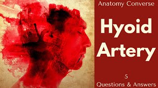 Hyoid Artery Anatomy 5 QampA [upl. by Ahsenyt]