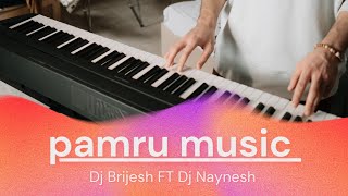 pamru music 🎶 Dj Brijesh FT Dj Naynesh djnaynesh djbrijesh music [upl. by Ase]