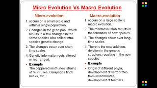 microevolution vs macroevolution [upl. by Gonzalez]