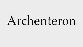 How to Pronounce Archenteron [upl. by Strephonn]