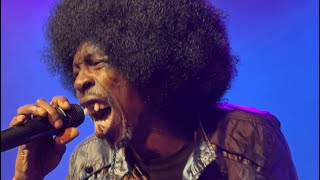 Pitch Black Afro The Return Live Performance PNC Podcast Live Show [upl. by Aigneis]