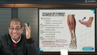 ANATOMÍA DEL MIEMBRO INFERIOR LA PIERNA  Usamedic [upl. by Lavern]