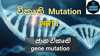 61 විකෘති Mutation   part I ජාන විකෘති Gene Mutation [upl. by Anasor]