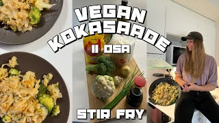 VEGAN KOKASAADE 2OSA stir fryvokiroog [upl. by Azpurua864]