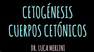 Cetogénesis Cuerpos Cetónicos [upl. by Orville]