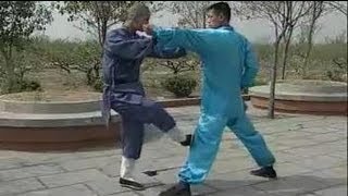 Shaolin Kung Fu 20 fight techniques [upl. by Jareb]