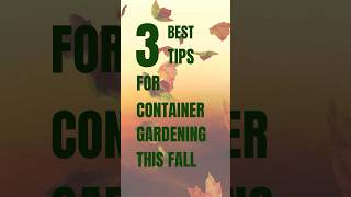 Best Tips For Container Gardening This Fall containergarden fallgarden [upl. by Anirdnajela208]