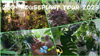 🌱 FIRST HOUSEPLANT TOUR  2023  200 PLANTS 😃 💚 love plants nature roots yoga fitness [upl. by Saoj]