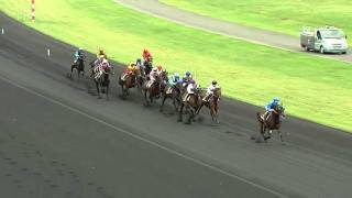 Le Prix de Cornulier 2012 sur lhippodrome ParisVincennes [upl. by Aholah]