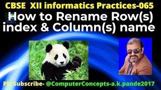 HOW TO RENAME THE COLUMNS IN PANDAS DATAFRAME  RENAME ROW NAMES PANDAS  CHANGE COLUMN LABEL PANDAS [upl. by Elenore566]