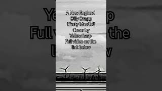 a new england billy bragg Kirsty maccoll cover by yellow harp harpandlooper harpmusic billybragg [upl. by Nylirej]